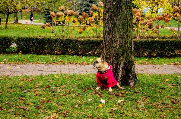 Activités à risque pendant la grossesse